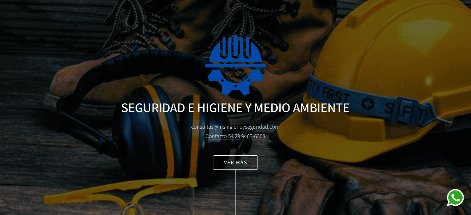 MS Higiene y Seguridad